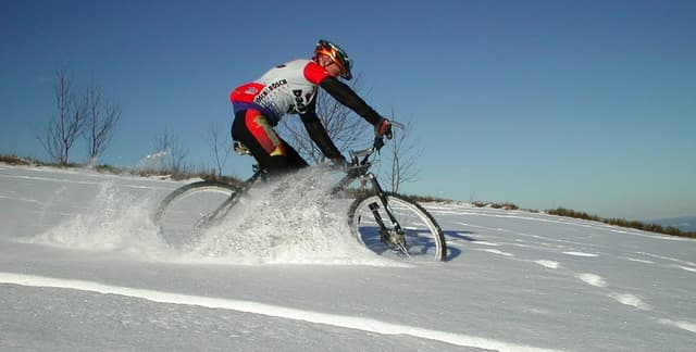 Bicicleta de montaña
