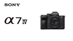 Mirrorless profesional